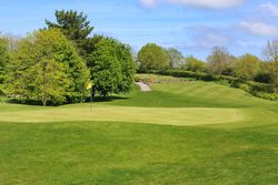 Golf course green with a flagstick, surrounded by trees and blue sky.