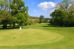 Golf course green with flag, surrounded by trees on a sunny day