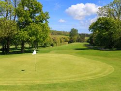 Golf course green with flag, surrounded by trees on a sunny day