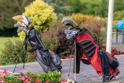 Two golf bags with clubs standing on a paved walkway surrounded by flowers and greenery.