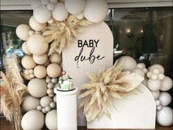 A neutral-toned baby shower setup with balloon decorations, pampas grass, and a cake on a white pedestal. The backdrop says 'Baby dube'.
