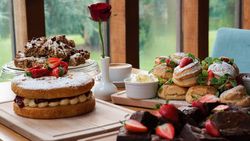 DPBakes7
