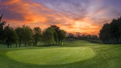 Golf course green with flag surrounded by trees at sunset
