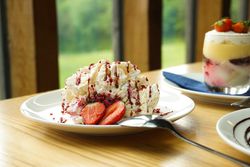 DPDesserts3