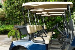 Empty blue golf cart with beige seats parked near green bushes and foliage.