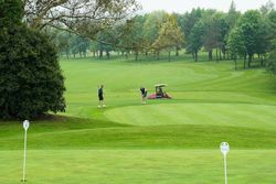 Two people playing golf on a well-maintained golf course with a golf cart nearby, surrounded by green grass, trees, and golf hole markers.