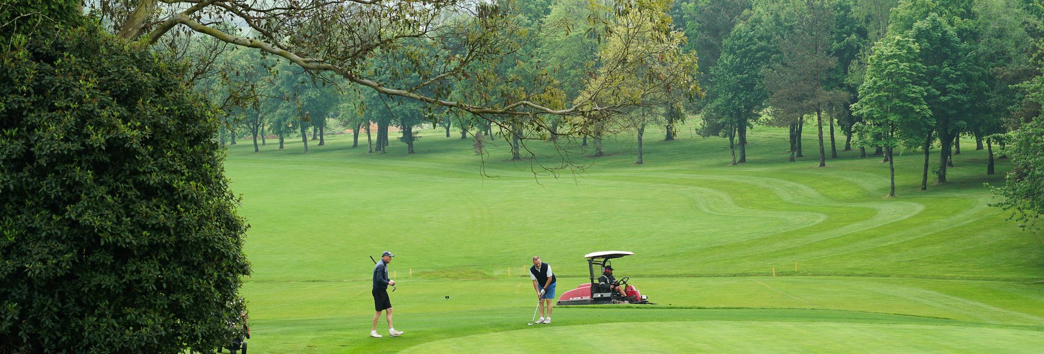 Two people playing golf on a well-maintained golf course with a golf cart nearby, surrounded by green grass, trees, and golf hole markers.