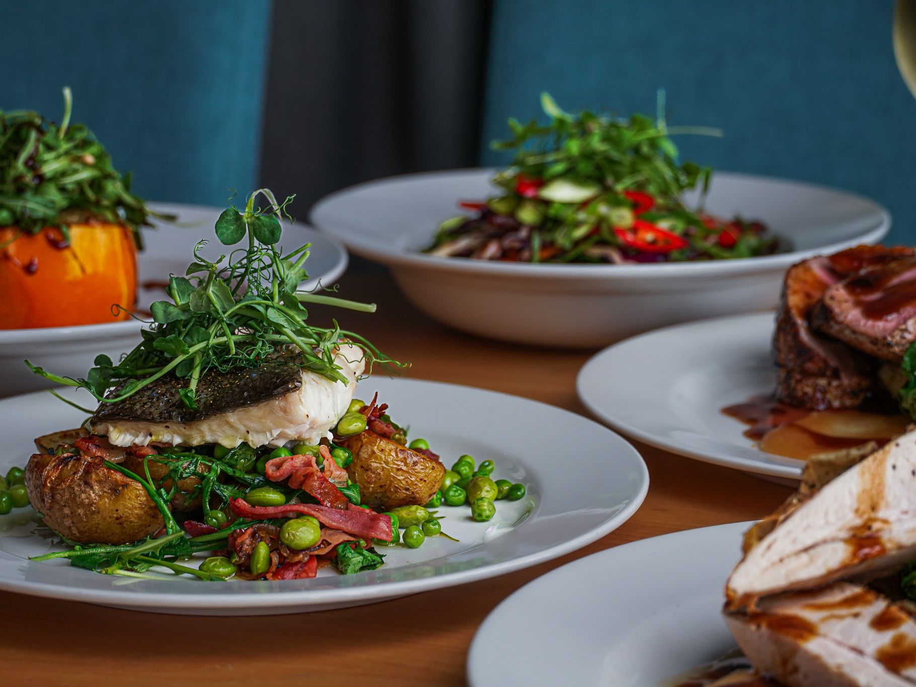 A variety of gourmet dishes served on white plates, including roasted potatoes with greens and fish, a salad with fresh vegetables, and a meat dish with sauce.