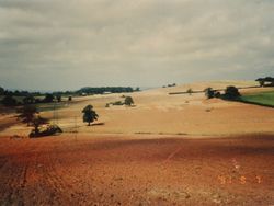View of a wide, freshly plowed countryside field with a few scattered trees and distant hills under a cloudy sky.