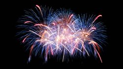 Colorful fireworks exploding against a black night sky