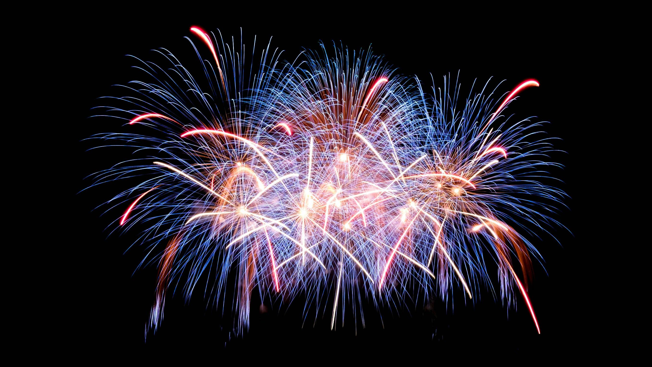 Colorful fireworks exploding against a black night sky