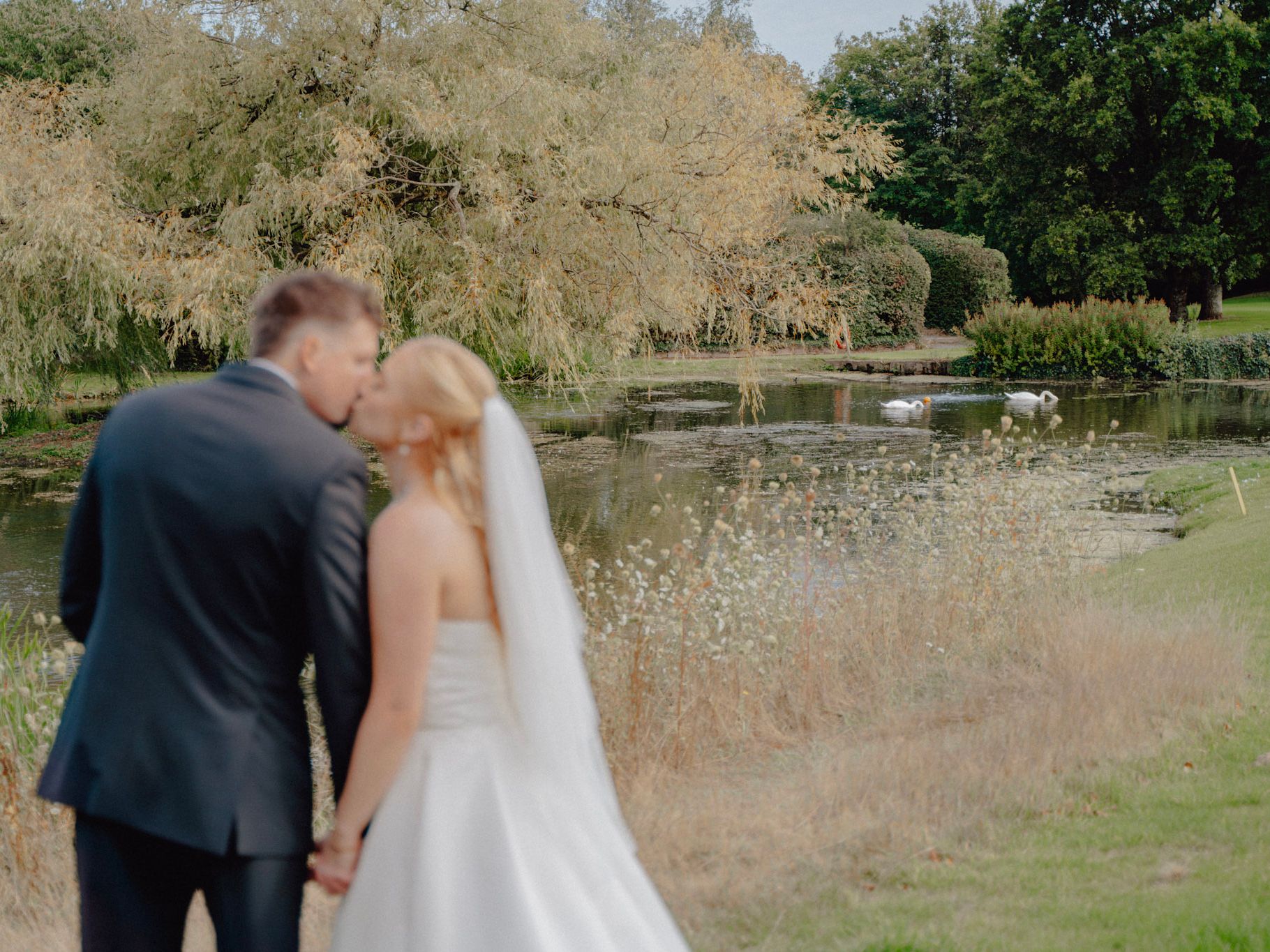 Bride and groom kissing by a pond with swans and trees in the background