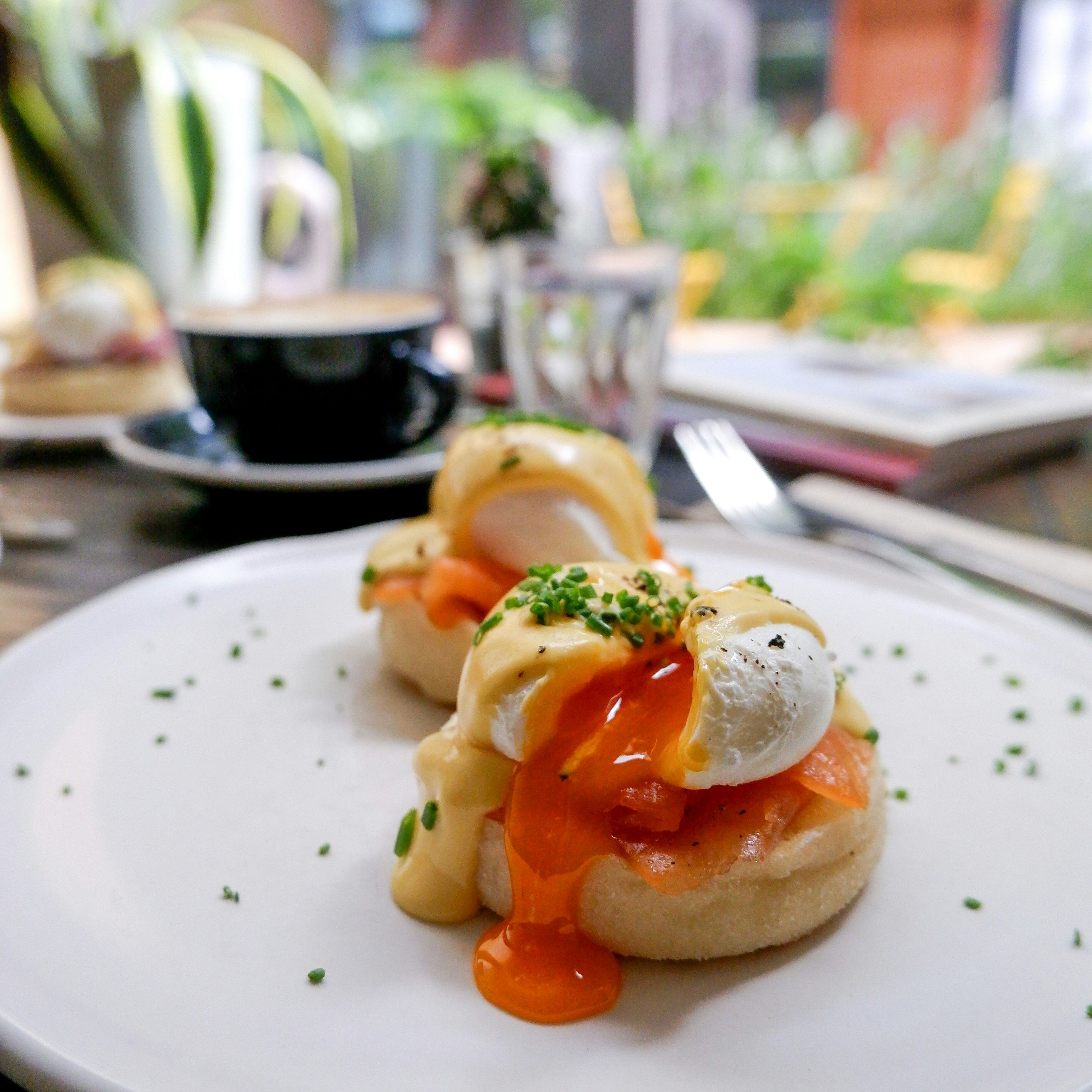 Eggs Benedict with smoked salmon and hollandaise sauce on an English muffin, served on a white plate