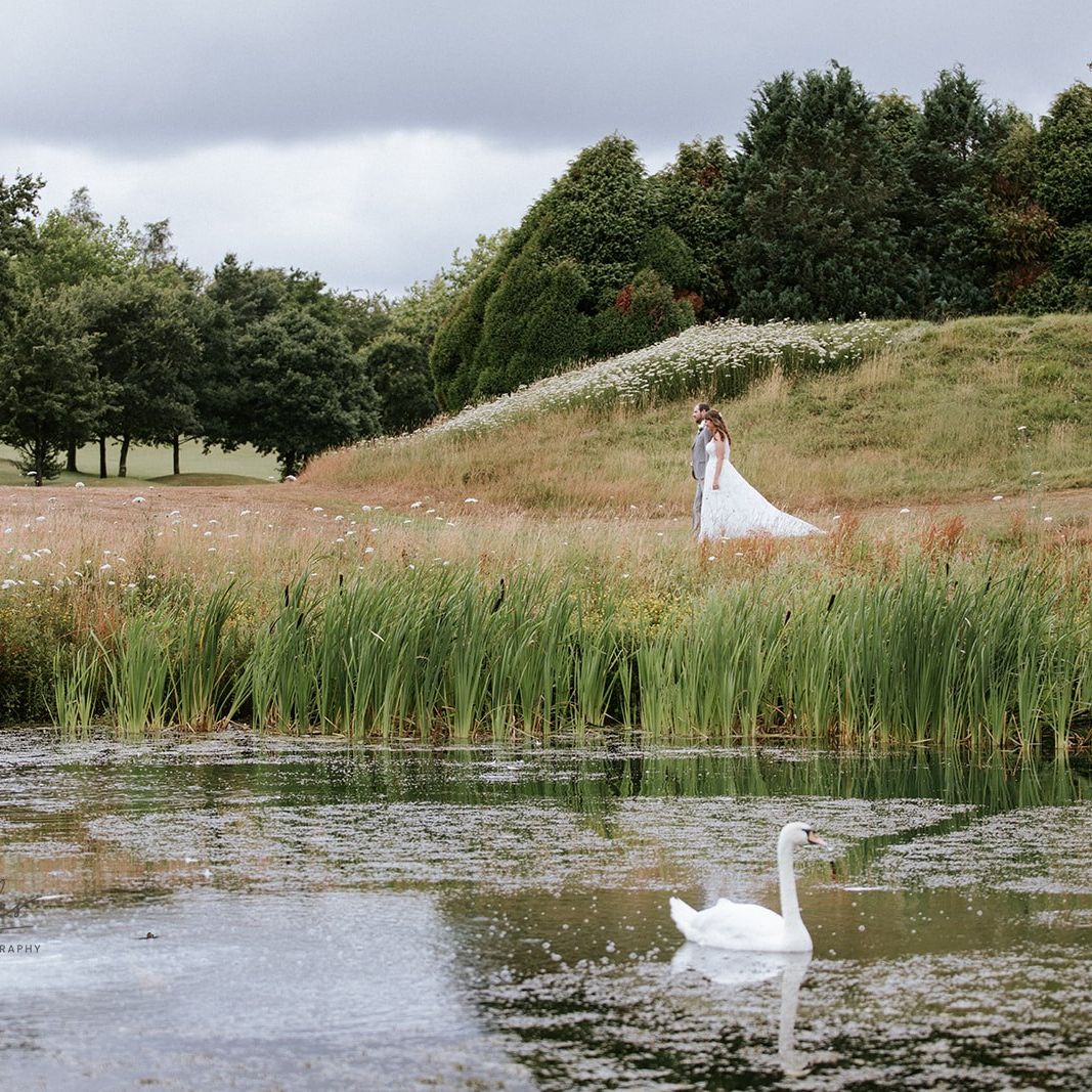 Bride and groom walking together in a field near a pond with a swan in the foreground.