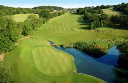 Aerial view of a golf course with a putting green, fairway, trees, and a pond.
