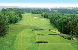View of a lush green golf course with sand bunkers and tree-lined fairways.