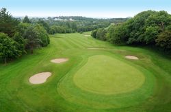 Aerial view of a golf course green with sand bunkers and surrounding trees