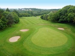 Aerial view of a golf course green with sand bunkers and surrounding trees