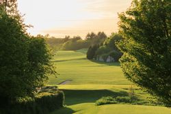 A golf course surrounded by green trees at sunset.