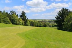 Golf course green with flag surrounded by trees and hills