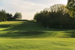 Golf course green with flag and trees in the background at sunset