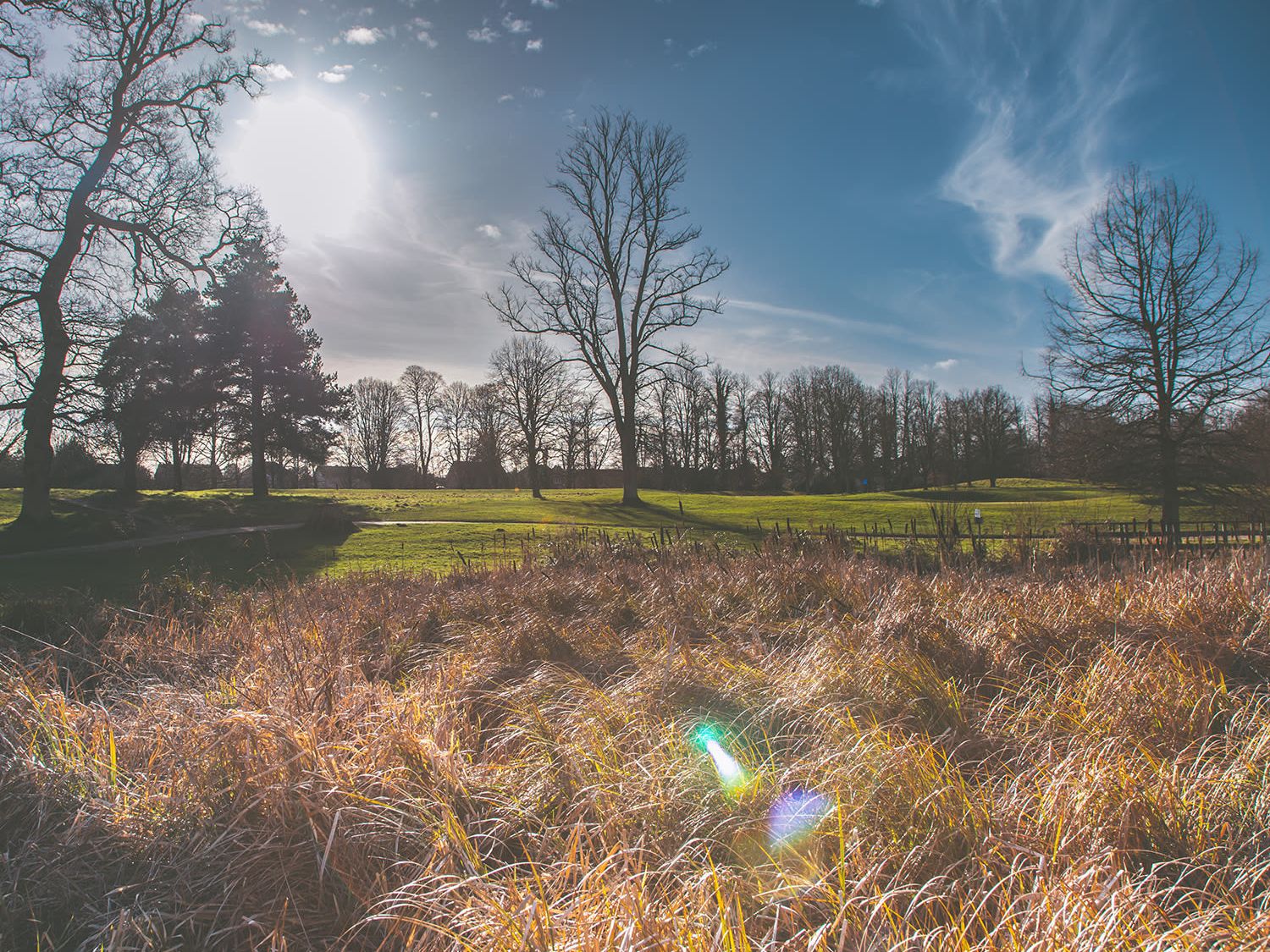 3 - LANDSCAPES - Donnington Grove Hotel 2022 - Hotel _ Grounds - Hotel _ Restaurant Photography By KW Creative - Kent Wynne Photography (C)