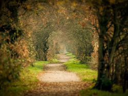 Top 5 National Trust Properties in Berkshire