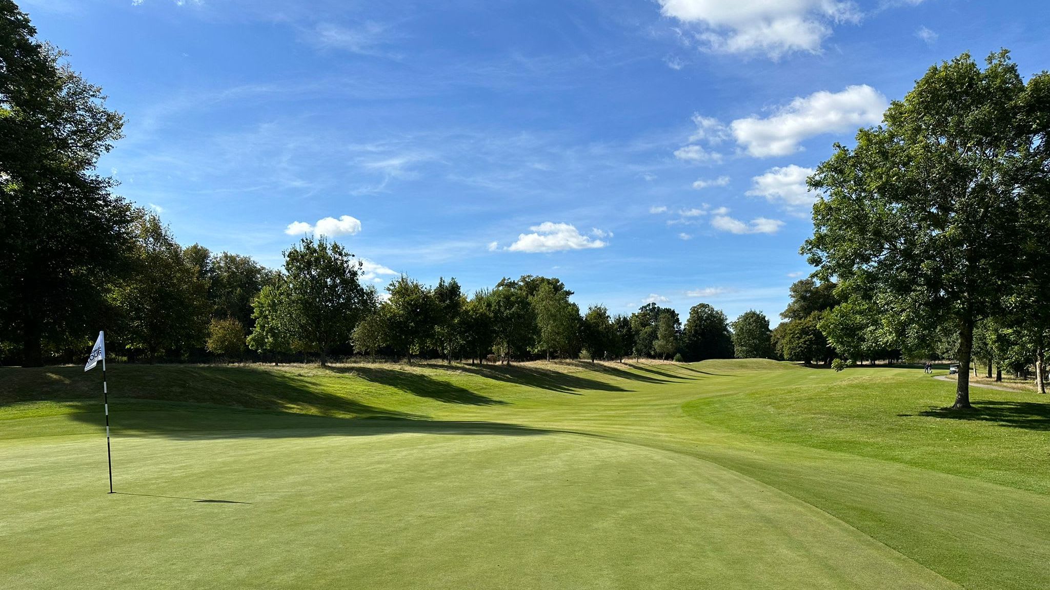 Golf course green