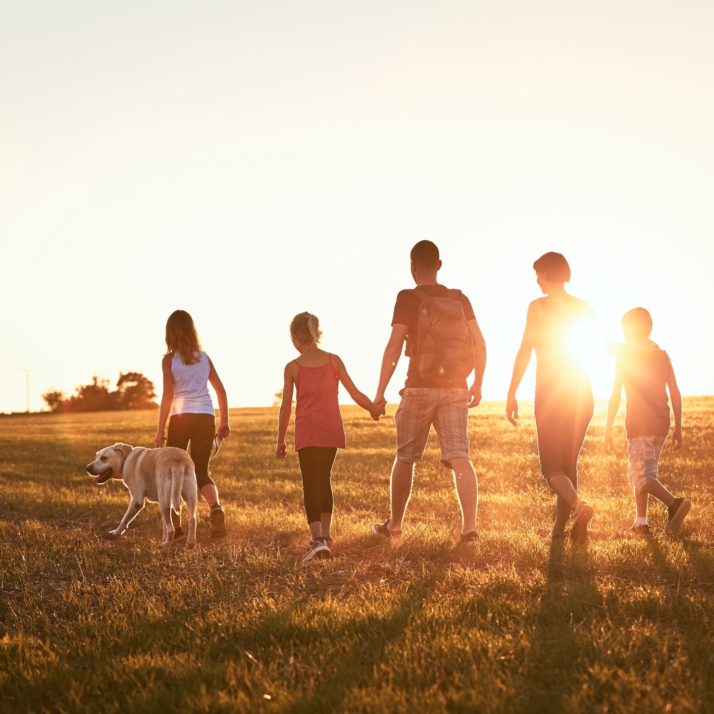 Family summer stroll