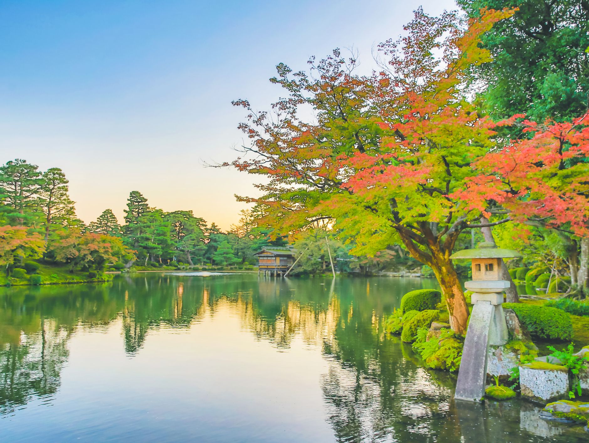 Pond centred Japanese garden