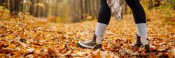 A person walking through an autumn forest, wearing boots, leggings, and a plaid shirt tied around their waist, with the ground covered in golden fallen leaves.