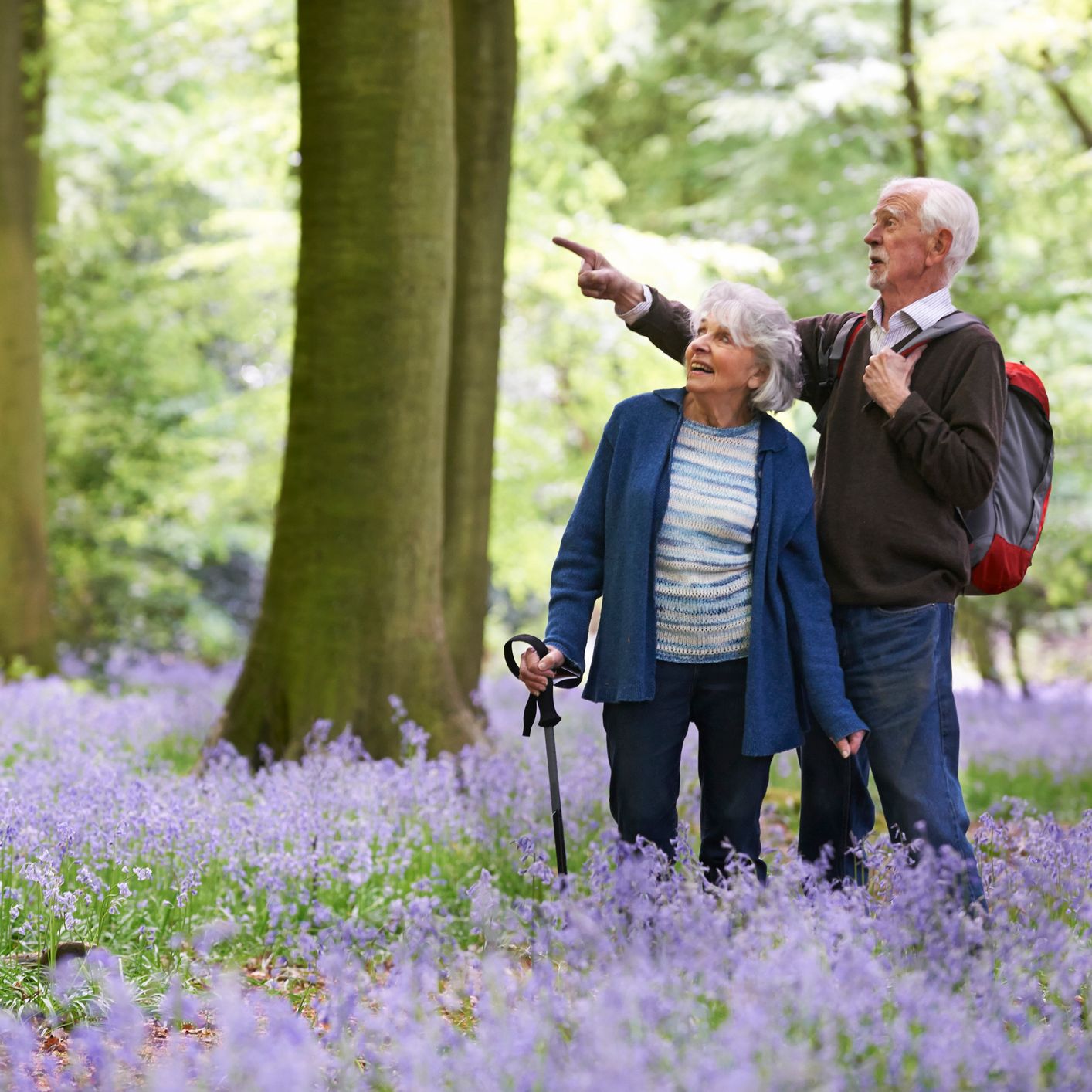 An elderly couple walking through a forest filled with blooming purple wildflowers, the man pointing ahead while the woman smiles, using a walking stick for support.