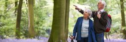 An elderly couple walking through a forest filled with blooming purple wildflowers, the man pointing ahead while the woman smiles, using a walking stick for support.