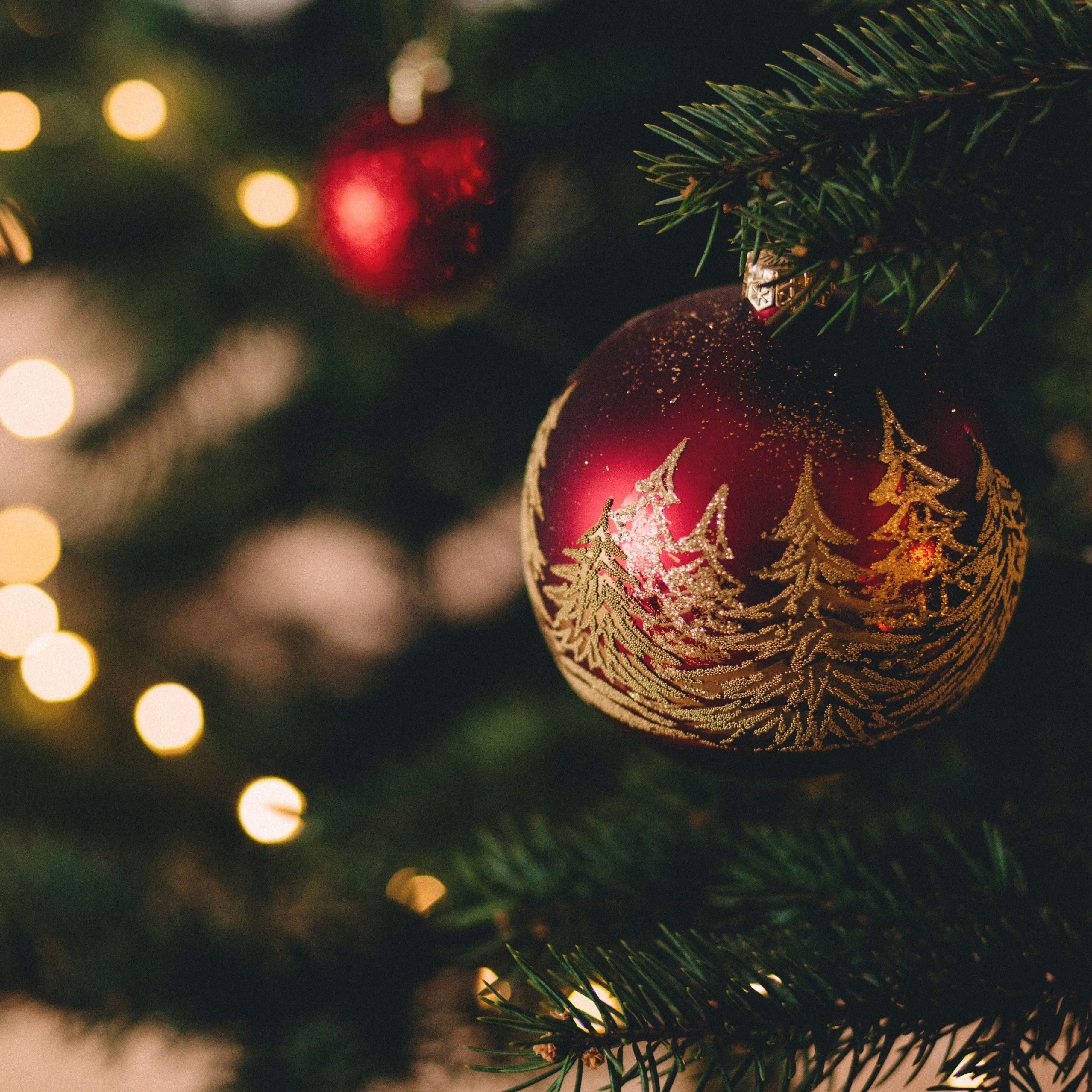 Christmas Tree & Red Ornament