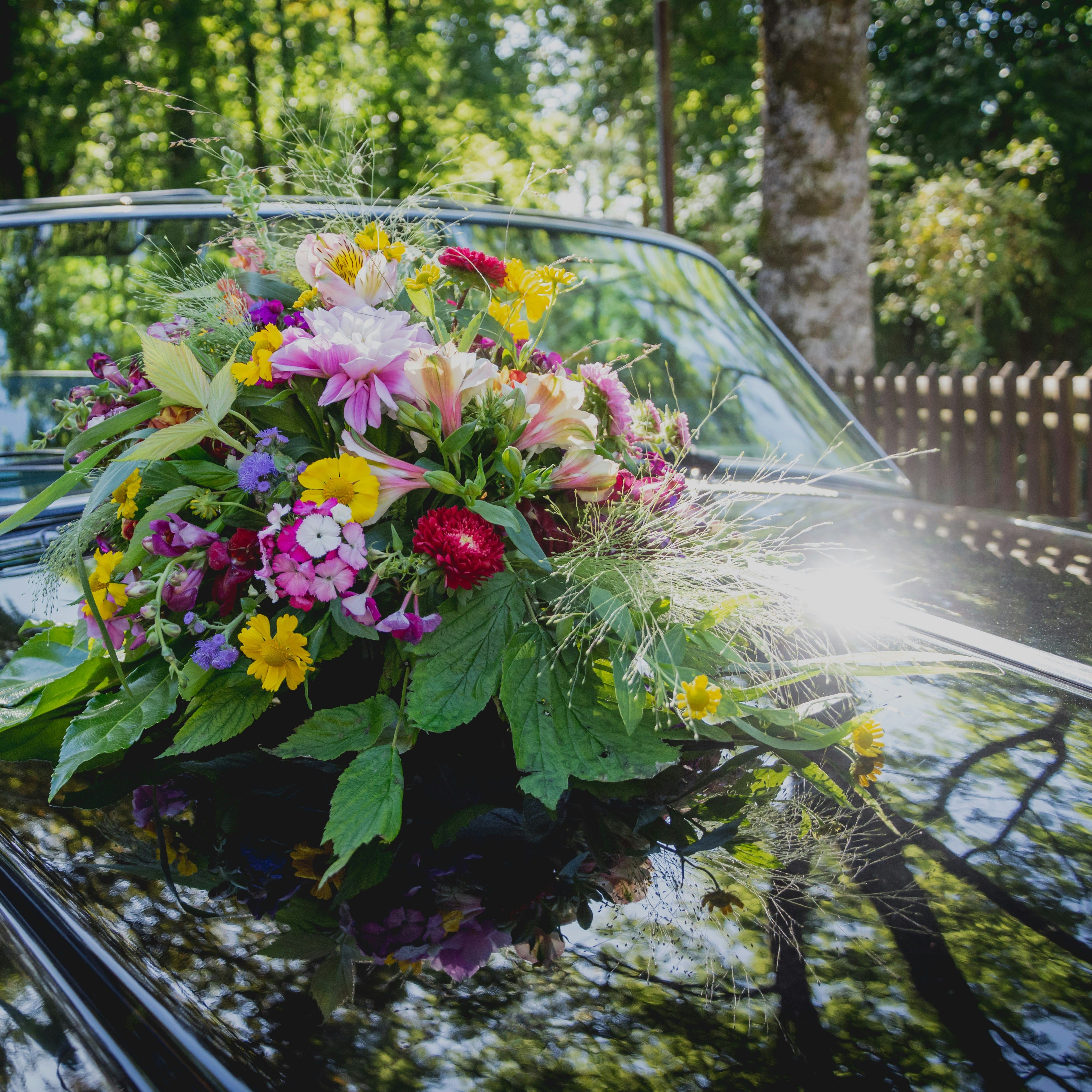 sandra-grunewald-7XOij6KNUXI-unsplash