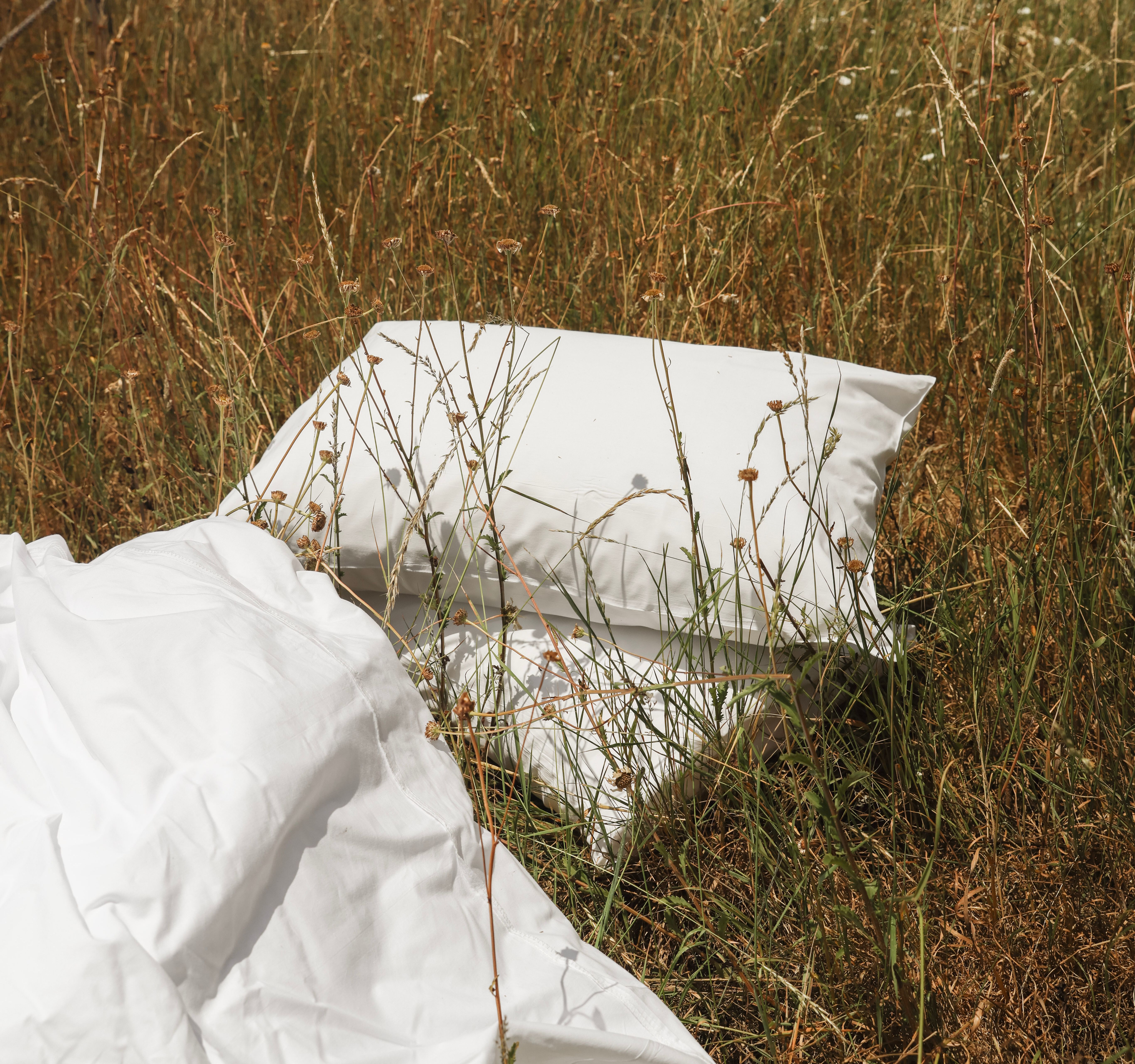 White pillows and blanket on tall grass in a meadow under a clear blue sky