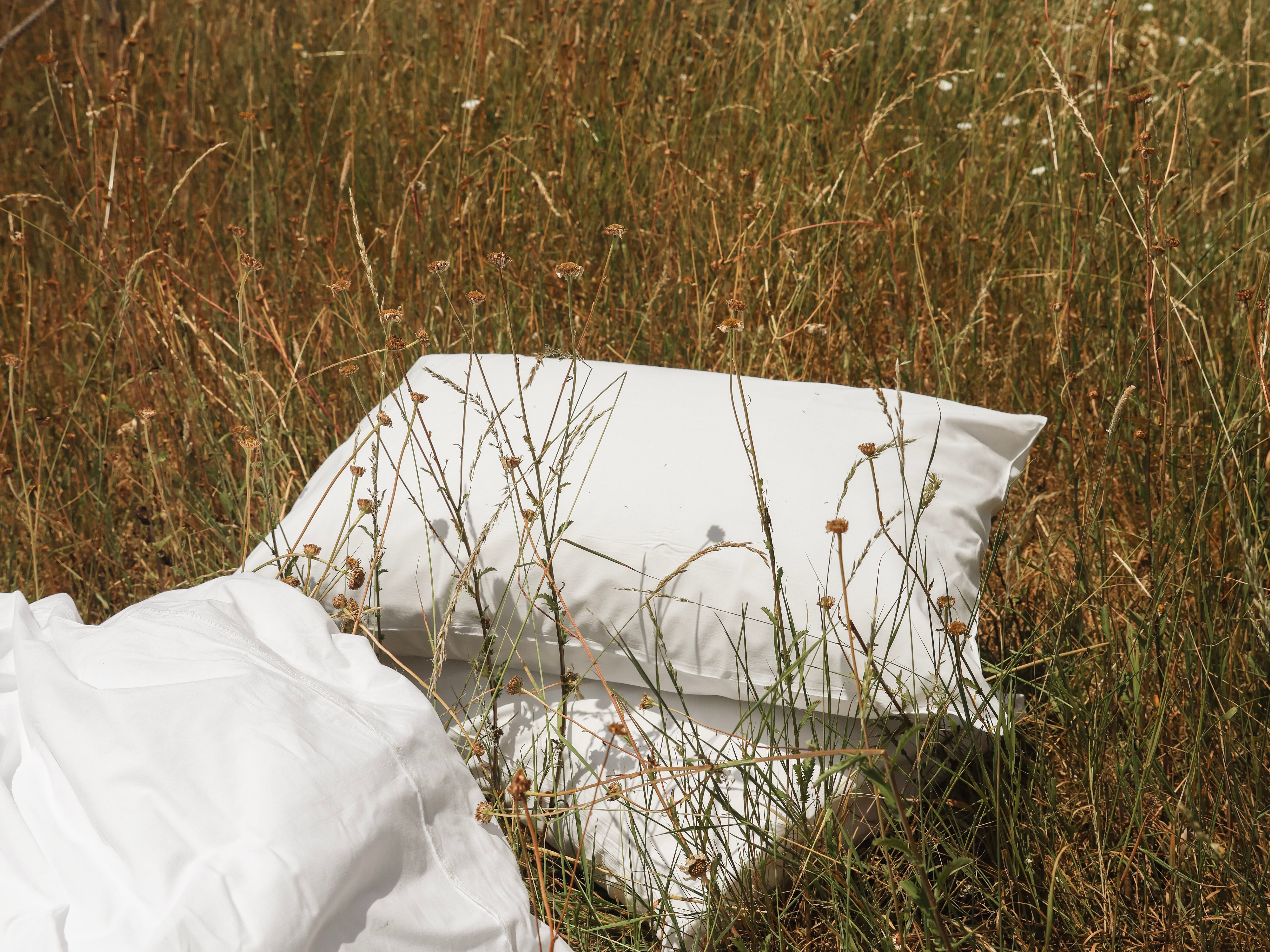 White pillows and blanket on tall grass in a meadow under a clear blue sky