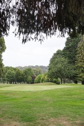 Golf green surrounded by trees with a flagstick, viewed through hanging branches.