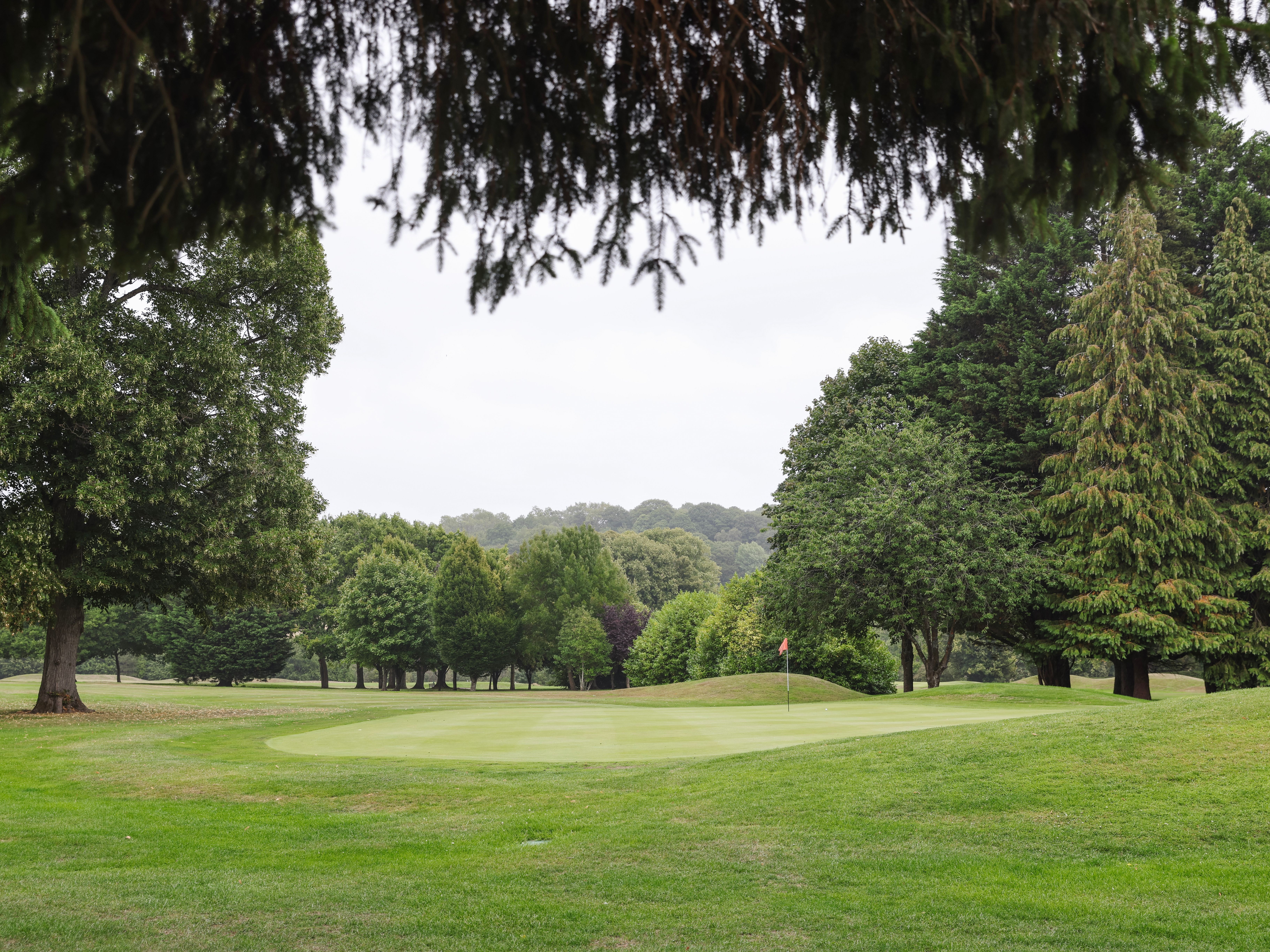 A scenic view of a golf course green surrounded by lush green trees under a cloudy sky.