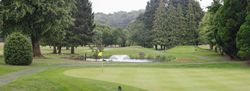 Golf course green with flag, trees, and a pond with a fountain