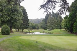 Golf course green with flag, trees, and a pond with a fountain
