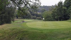 A scenic view of a golf course green with a flagstick, surrounded by lush trees and hills.