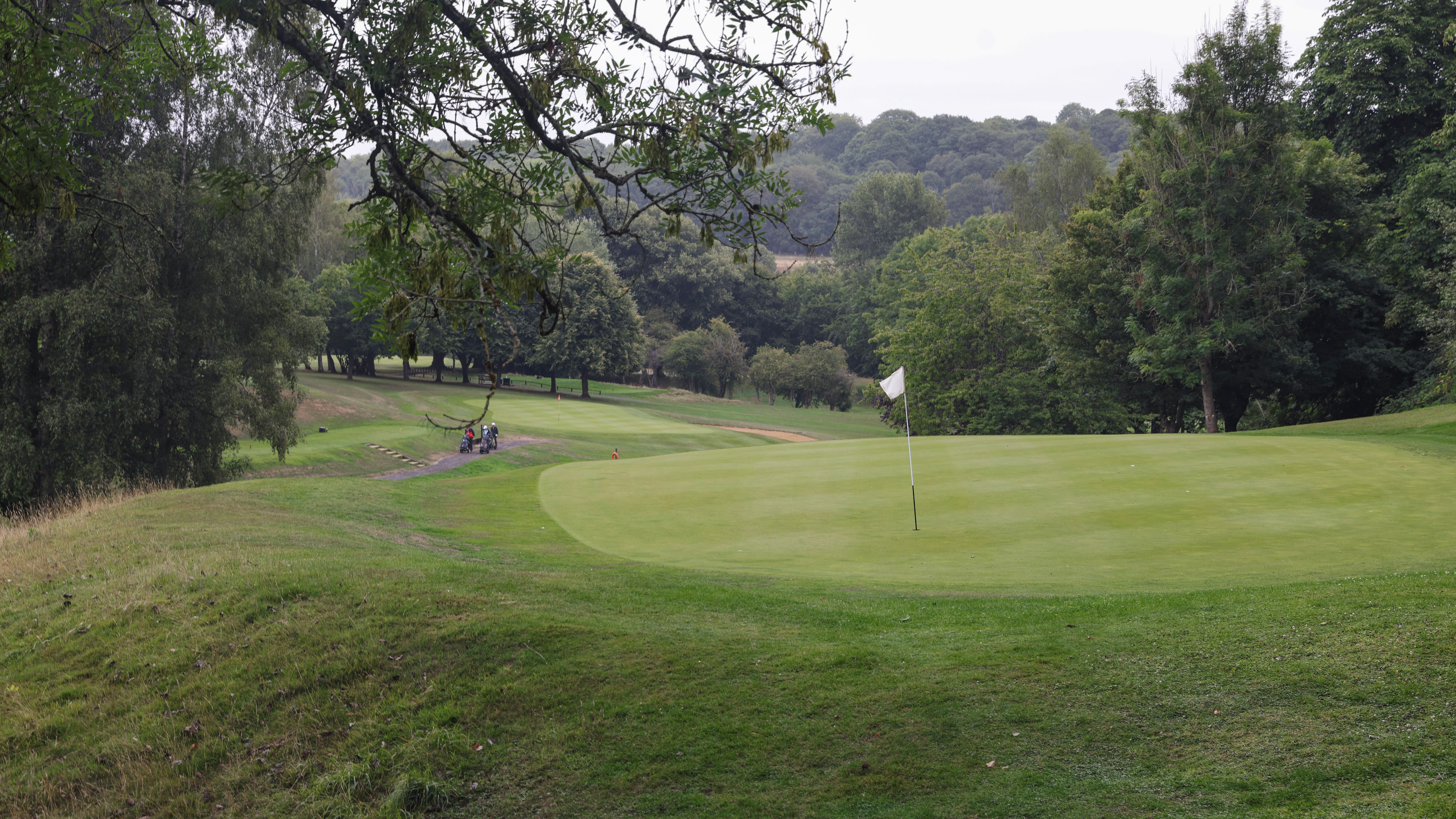 A scenic view of a golf course green with a flagstick, surrounded by lush trees and hills.