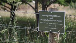 Sign for Nothing Hill Wild Flower and Diversity Restoration Project on a wooden post by a wire fence in a natural green setting.