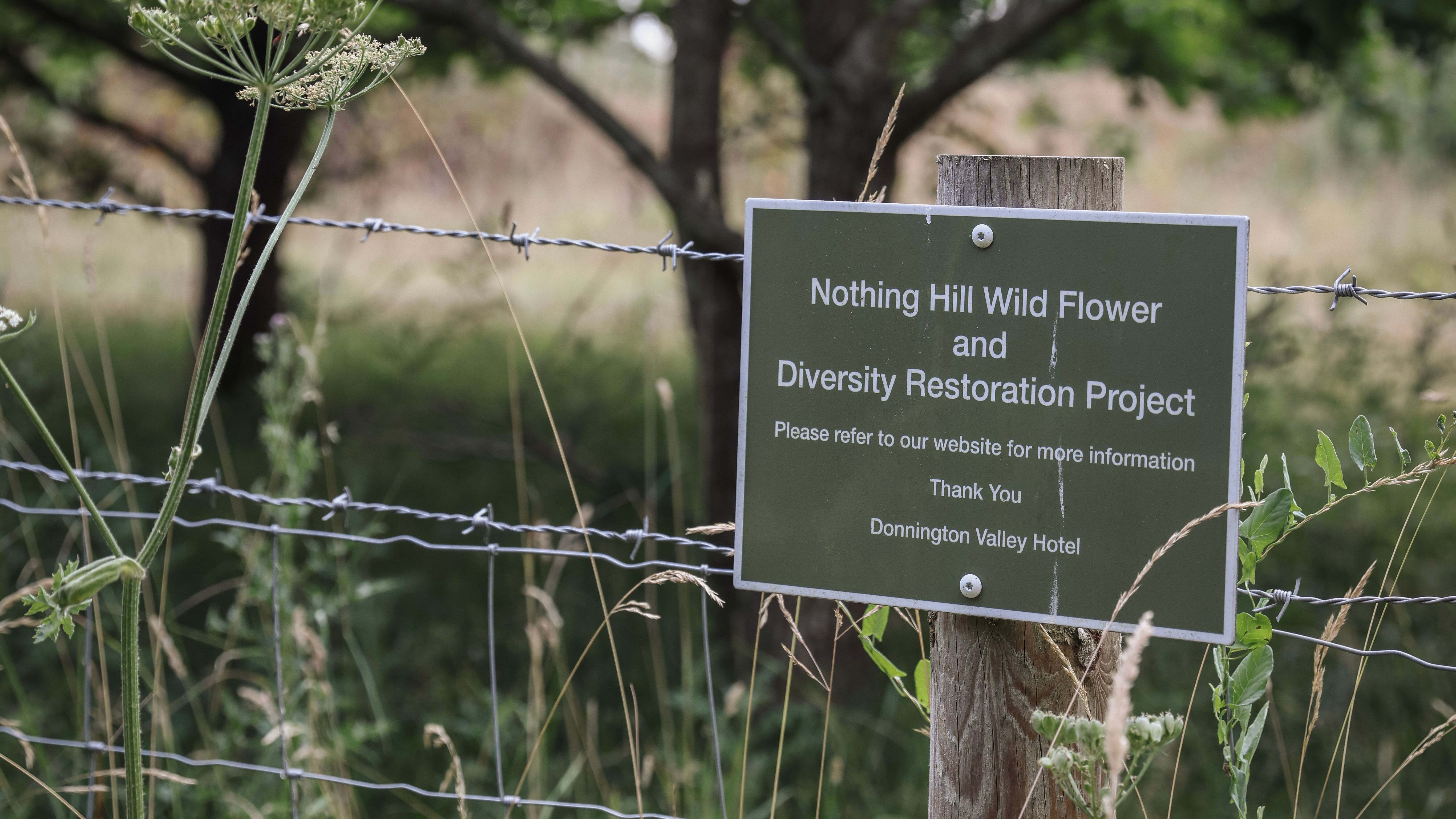 Sign for Nothing Hill Wild Flower and Diversity Restoration Project on a wooden post by a wire fence in a natural green setting.