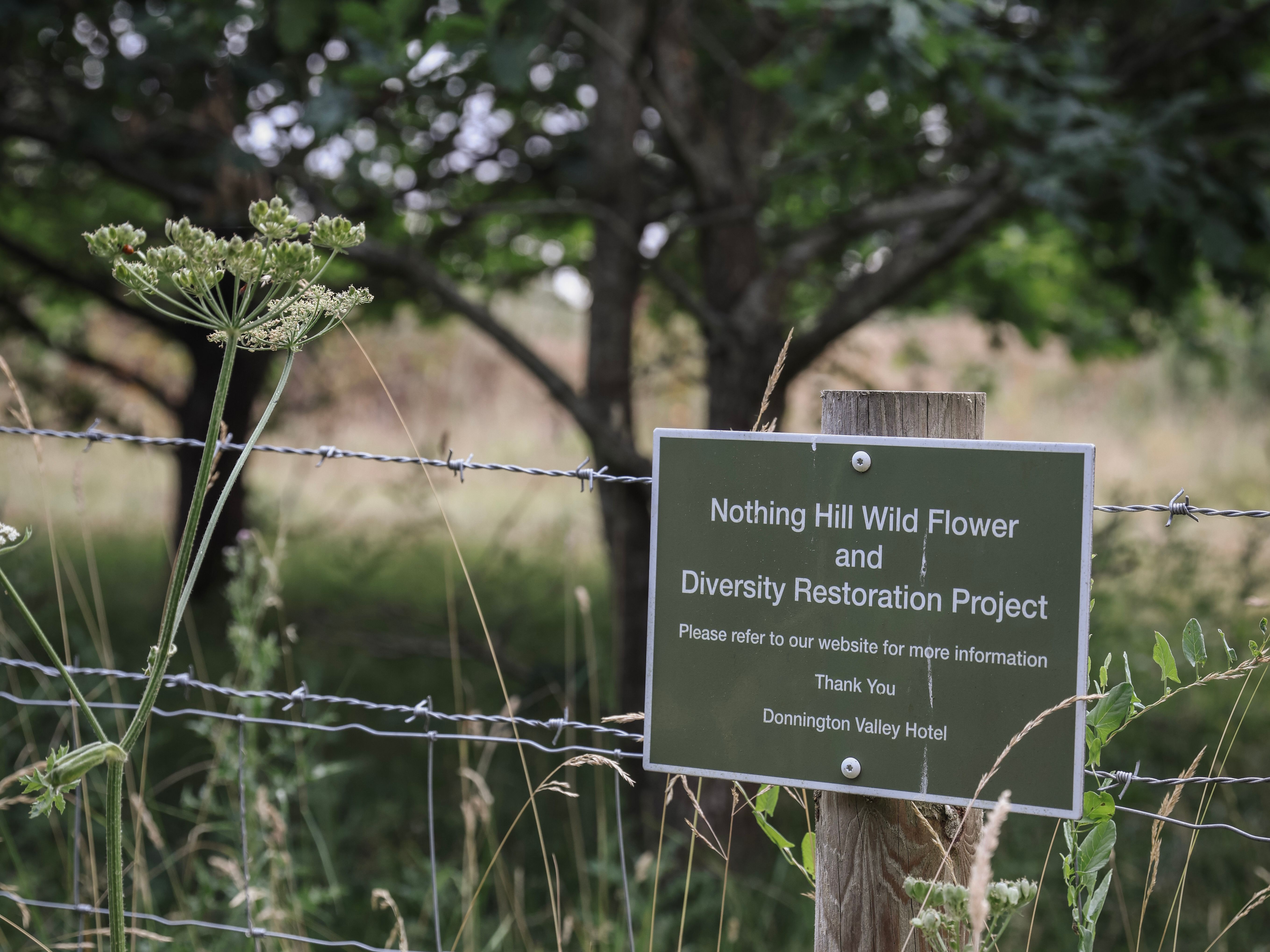 Sign for Nothing Hill Wild Flower and Diversity Restoration Project on a wooden post by a wire fence in a natural green setting.