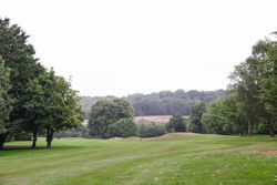 A scenic view of a green grassy field bordered by large, leafy trees under a cloudy sky.