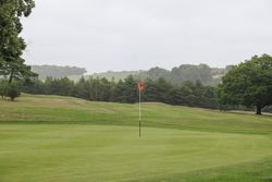 Golf course green with a red flag and trees in the background