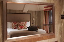 Reflection of a cozy bedroom with patterned pillows and a bag on the bed seen in a wall mirror.