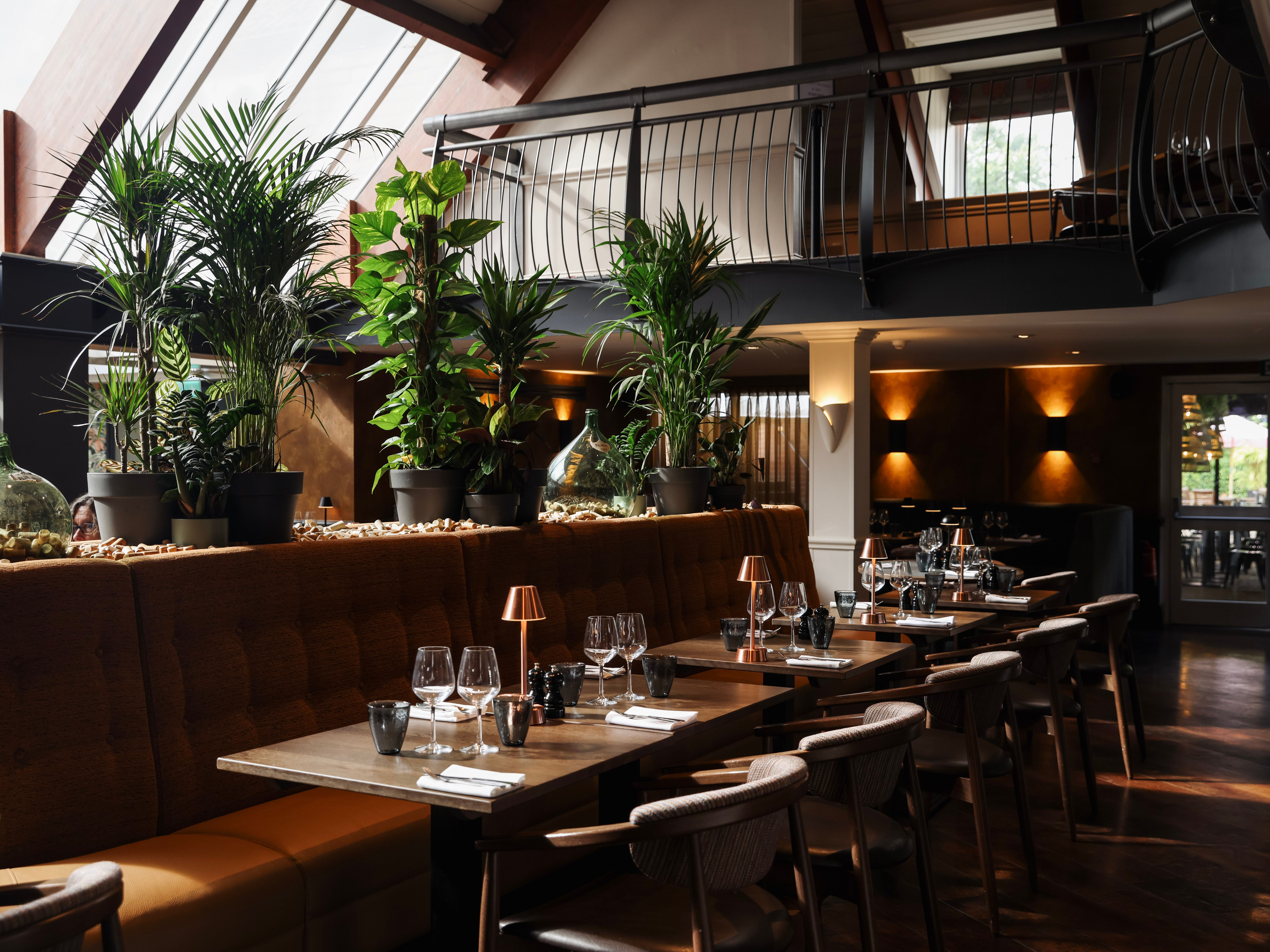 Modern restaurant interior with large windows, green plants, and neatly set dining tables.